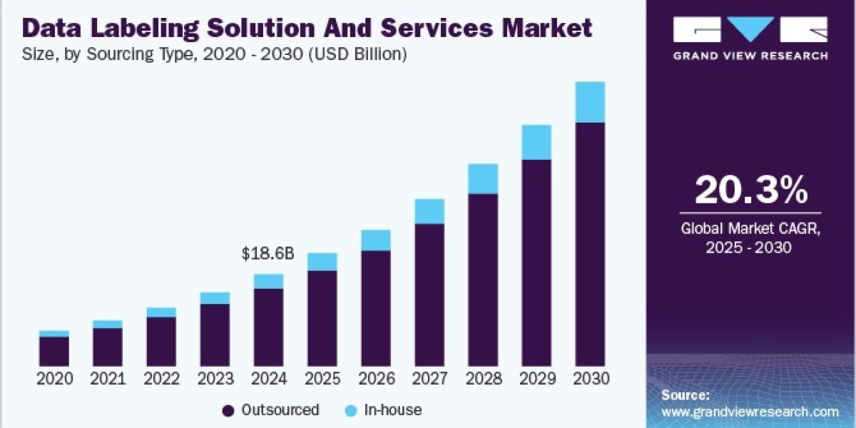 Data Labeling Solution And Services Market 2030: Key Players Shaping the Landscape