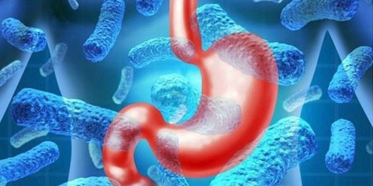 Viral Gastroenteritis Market Size Driven by Increasing Demand for Rapid Stool Test Diagnosis