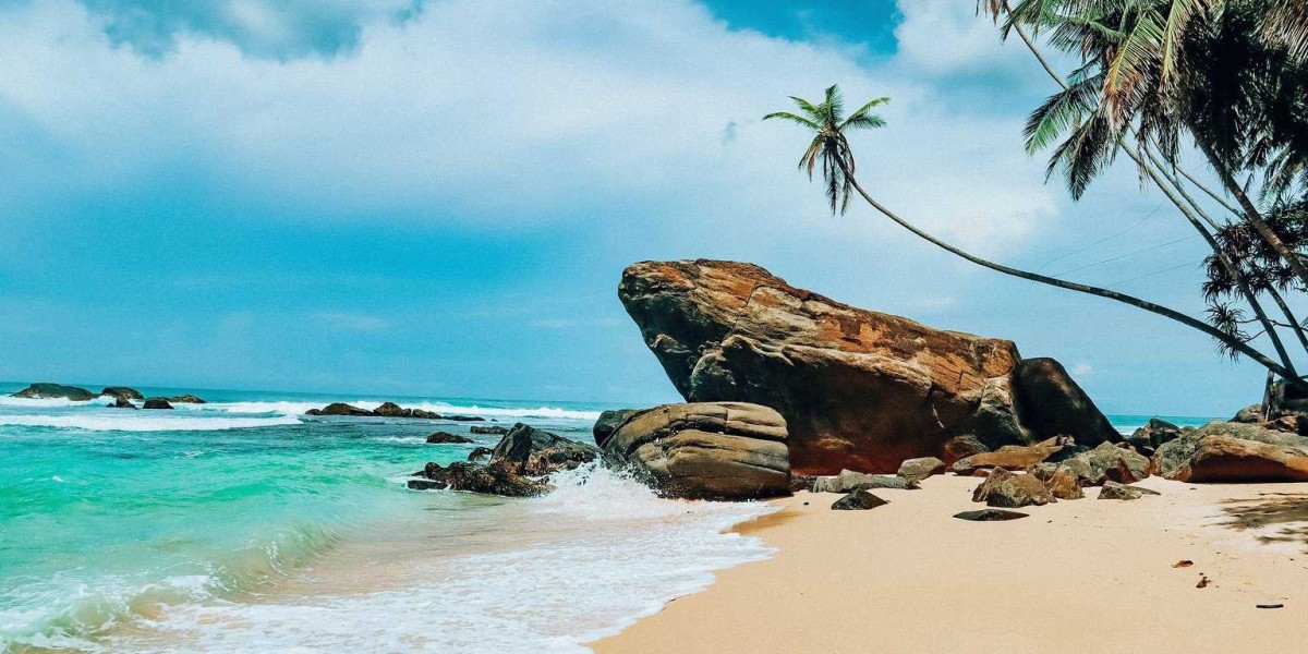 Sri Lanka's Coastal Charms: Your Ultimate Guide to Island Beach Bliss