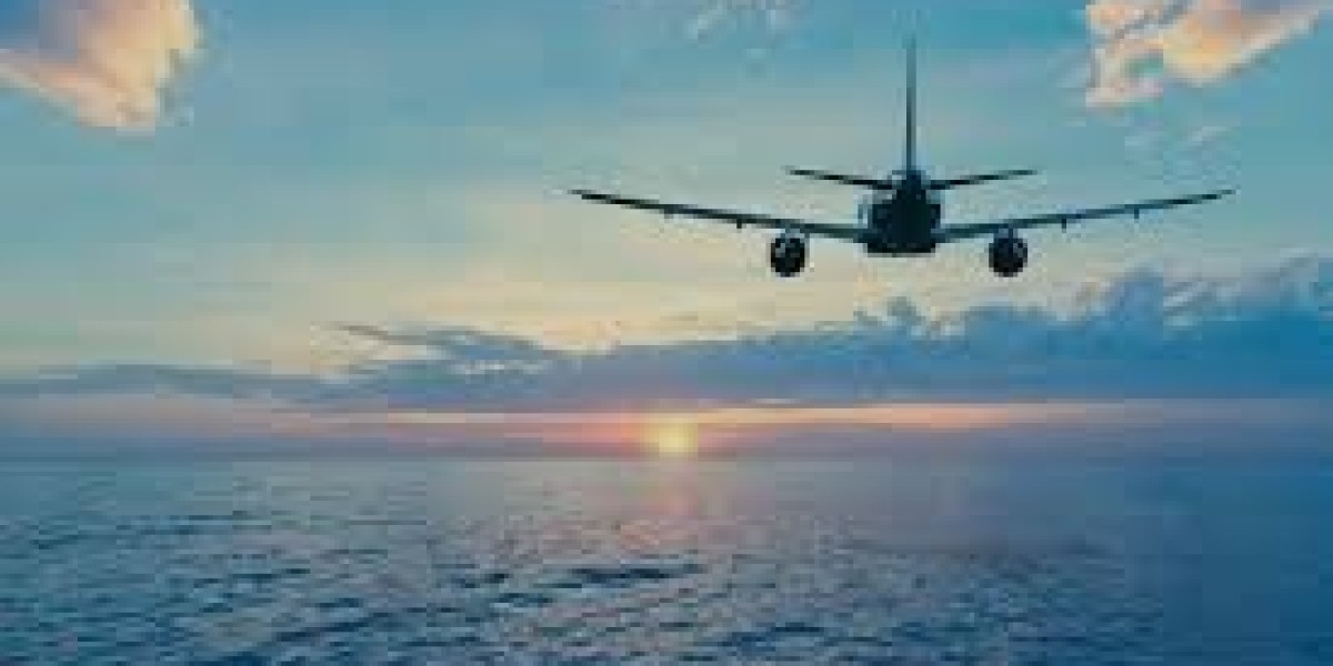 Air Freight Forwarding Market supports temperature-sensitive goods across healthcare distribution networks