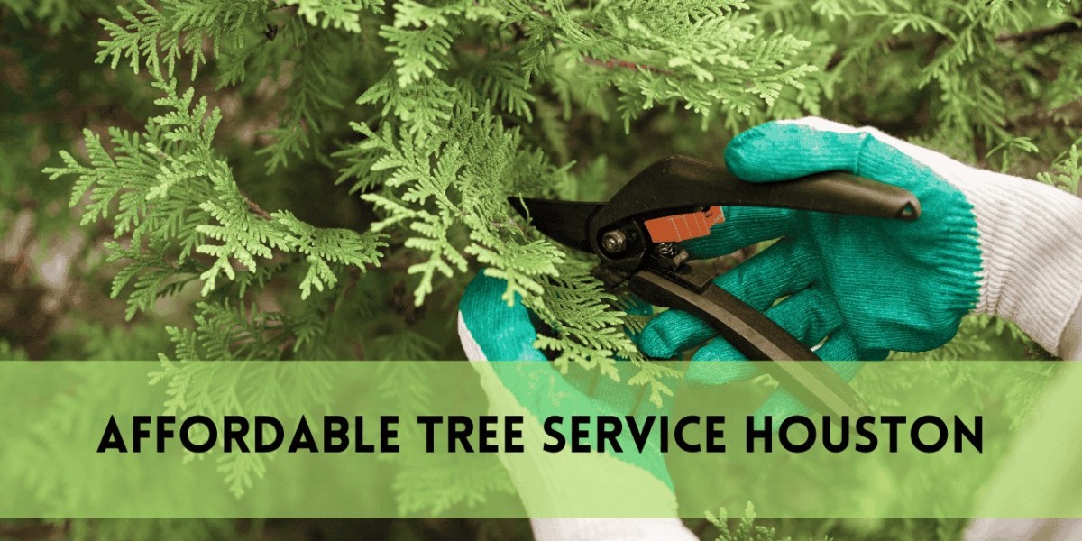 Cheap Tree Trimming Services & Affordable Tree Removal | Expert Guide