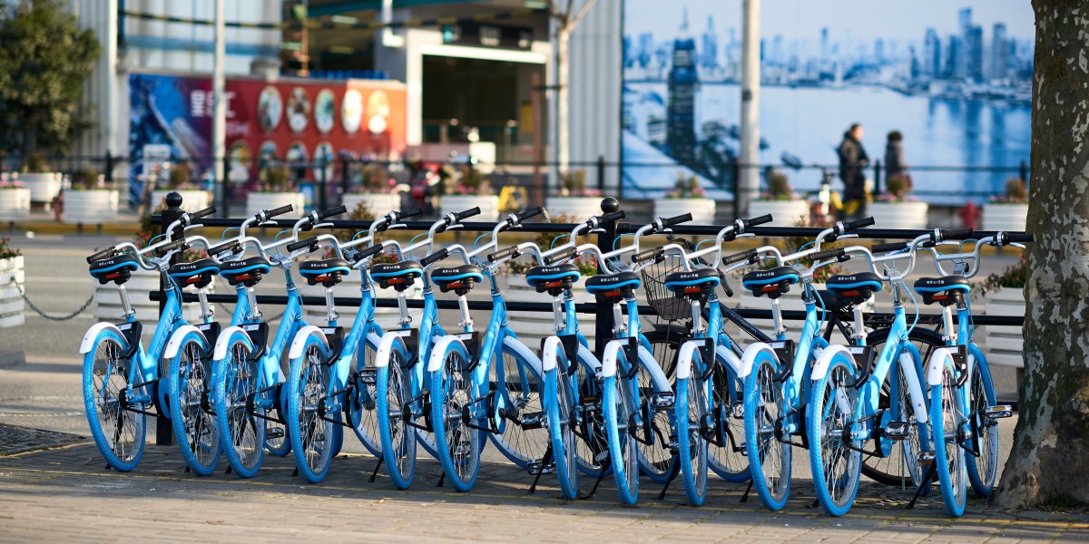 Bike Sharing Market Forecasting Industry Growth & Demand 2025–2033