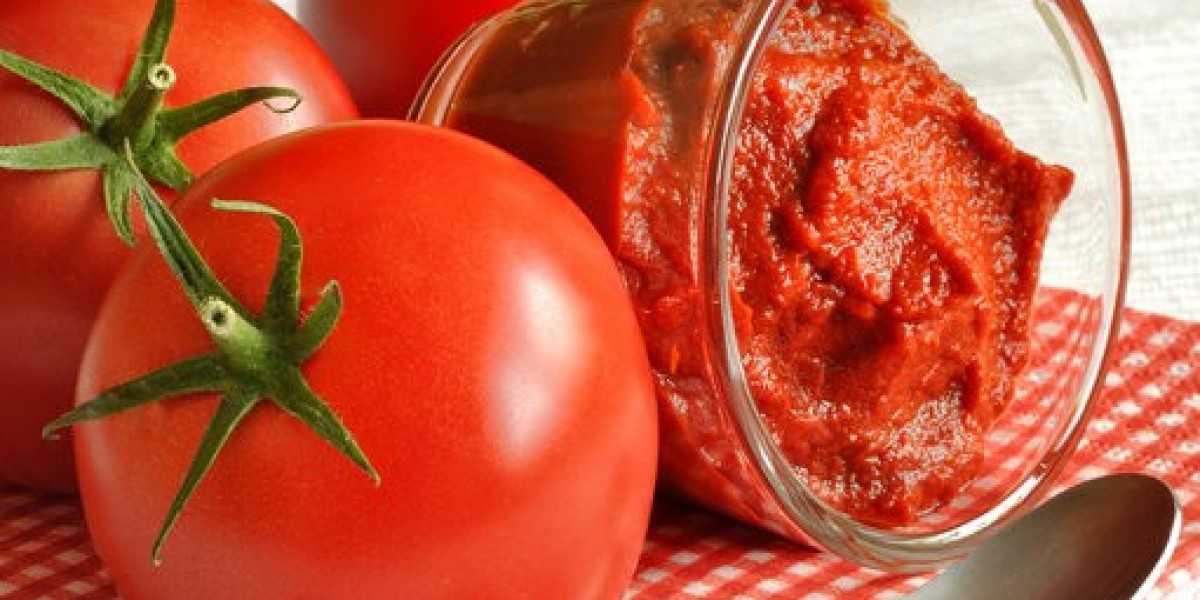 Tomato Paste Market Demand Surges Across Regions Amidst Evolving Dietary and Cooking Preferences