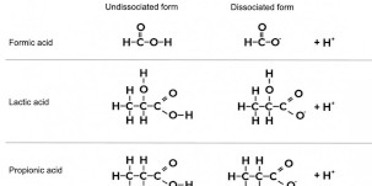 Organic Acid Market Health Product Demand
