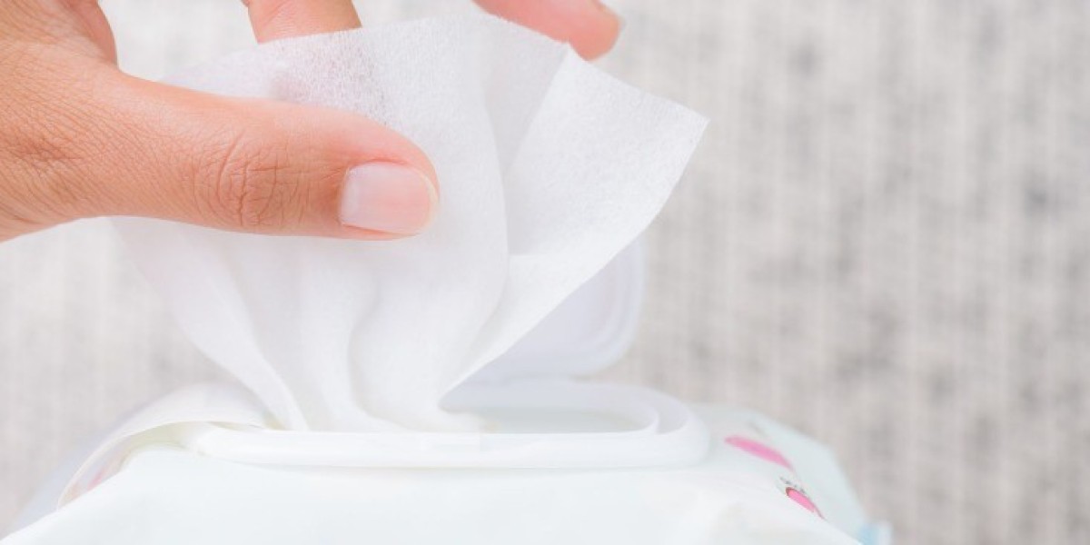 Baby Wipes Market: Size, Trends, and Strategic Outlook 2025-2032