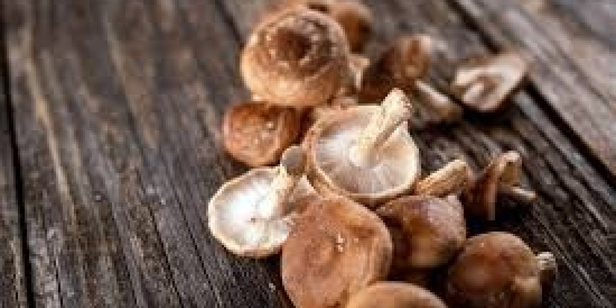Mushroom Extract Market size to grow significantly with natural remedies replacing synthetic drugs