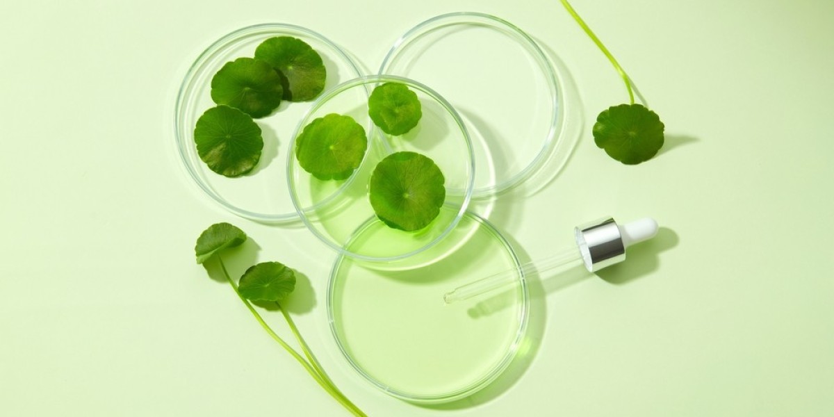 E-commerce and Digital Growth in the Centella Cosmetics Market