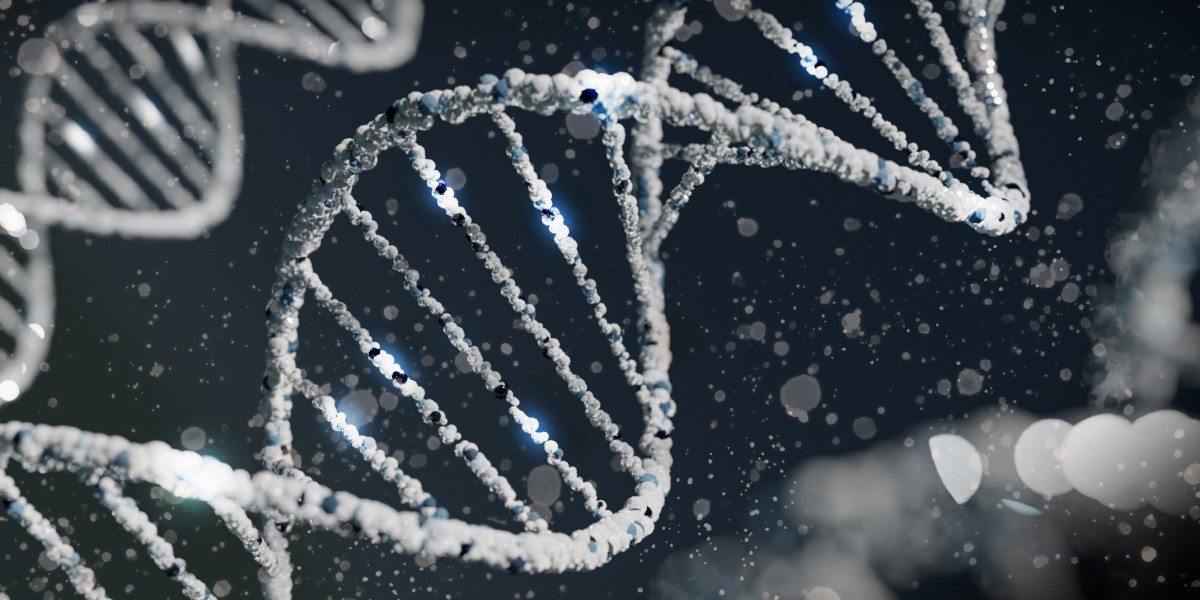 Top 5 Reasons to Get a Paternity Test