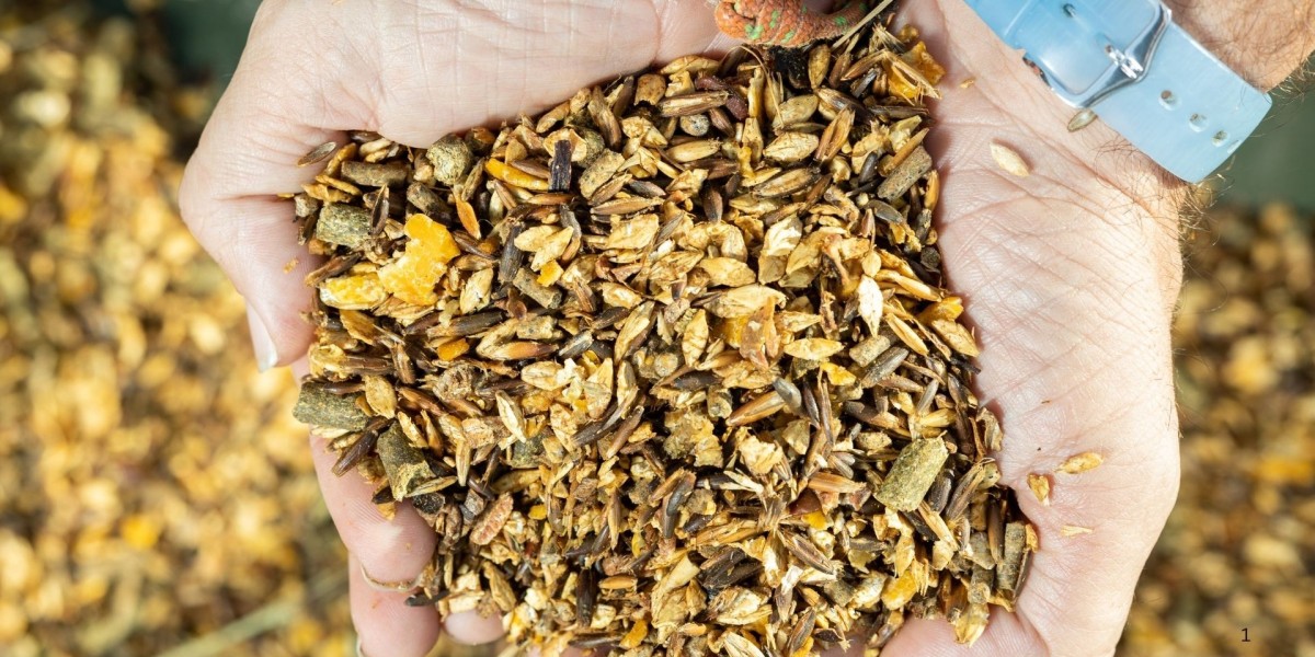 Mexico Compound Feed Market to Reach USD 11.48 Billion by 2033, Driven by Rising Demand for Livestock Products and Techn