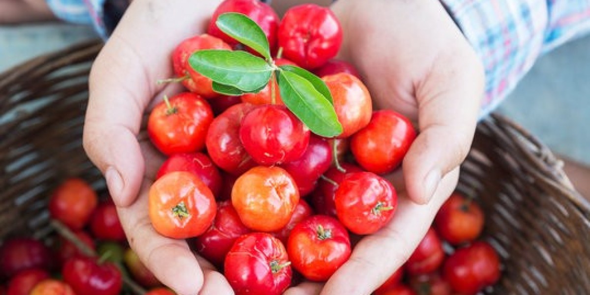 Acerola Extract Market Impacting Factors Driving Future Demand and Competitive Industry Outlook