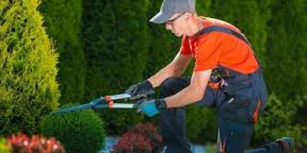 Garden Maintenance Services in London: Keep Your Outdoor Space Beautiful Year-Round