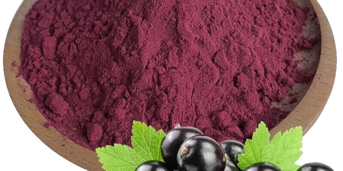 Blackcurrant Extract Market Experiencing Growth Through Natural Health Ingredient Demand