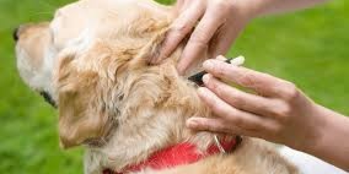 Animal Parasiticides Market Shows Significant Expansion In Emerging Agricultural Economies Worldwide