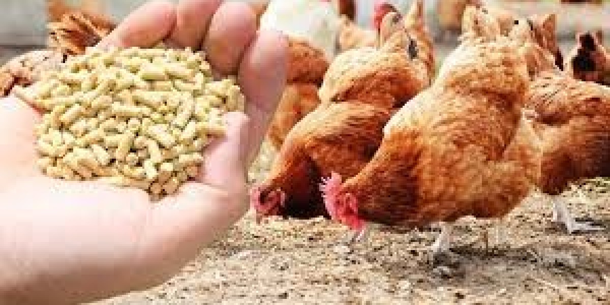 Poultry Feed Market Dynamics: Key Growth Drivers, Challenges, and Future Trends