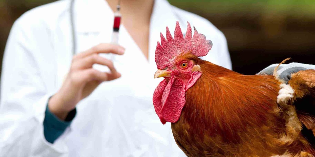 Poultry Diagnostics Market Analysis: Regional Trends and Competitive Landscape