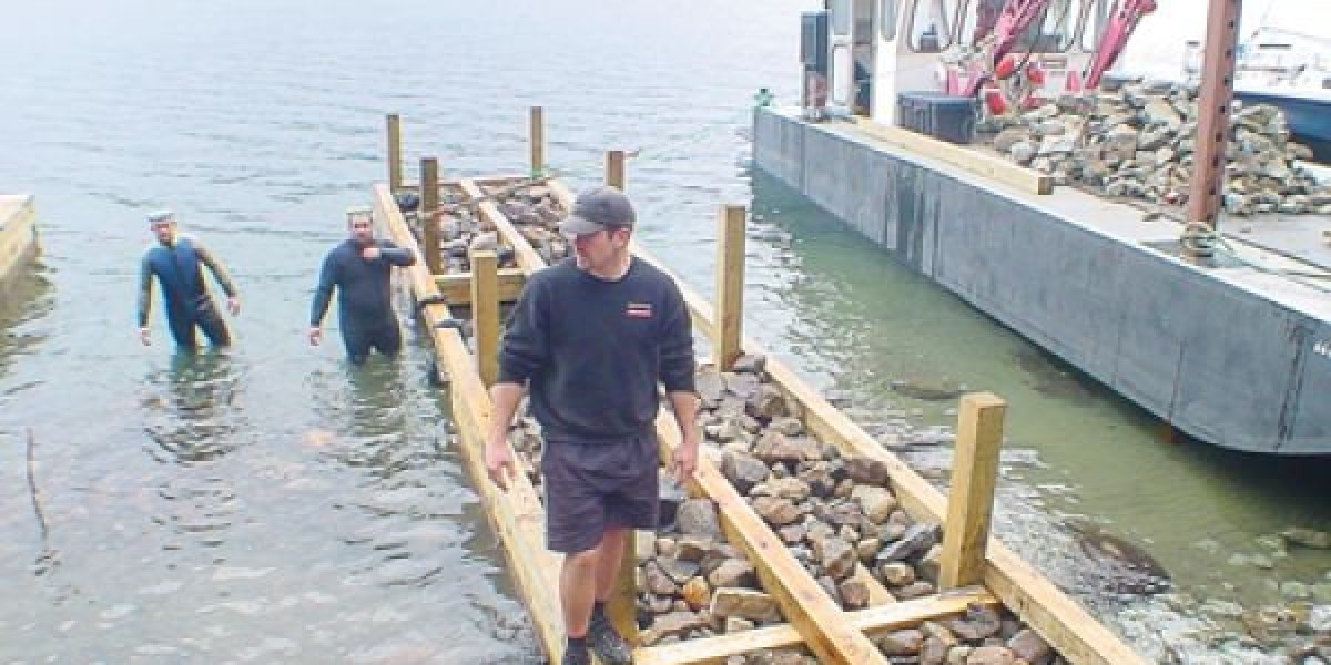Why Choose a Professional Dock Builder for Your Waterfront Property