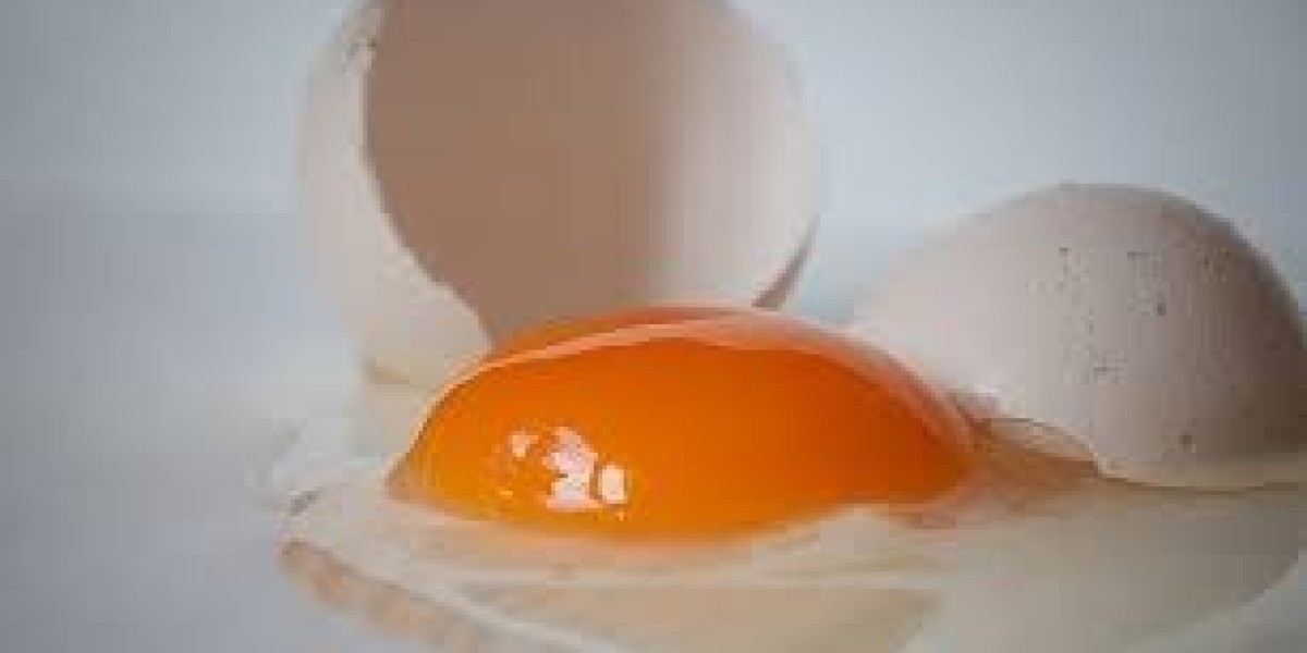 Pasteurized Eggs Market Regional Analysis with Insights from Asia Pacific and European Regions