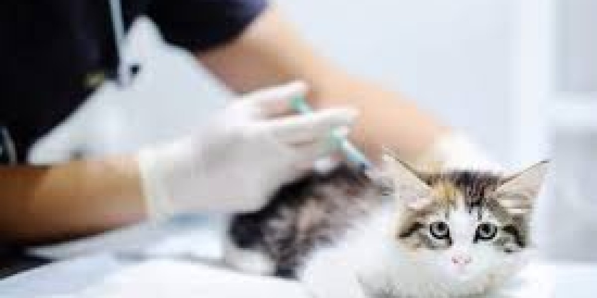 Veterinary Vaccines Market Policy Framework