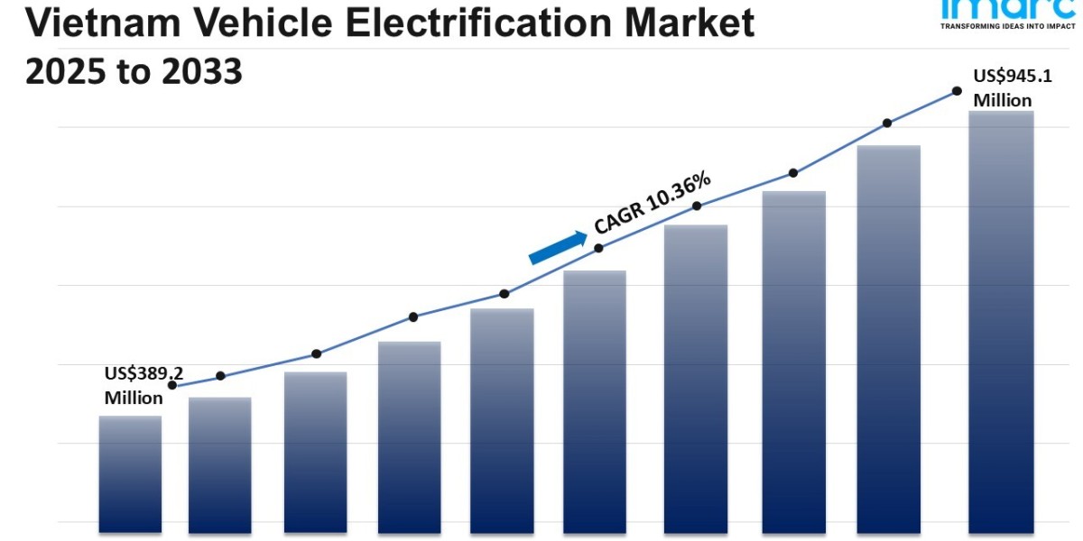 Vietnam Vehicle Electrification Market Size, Share, Top Companies, Forecast 2025-2033
