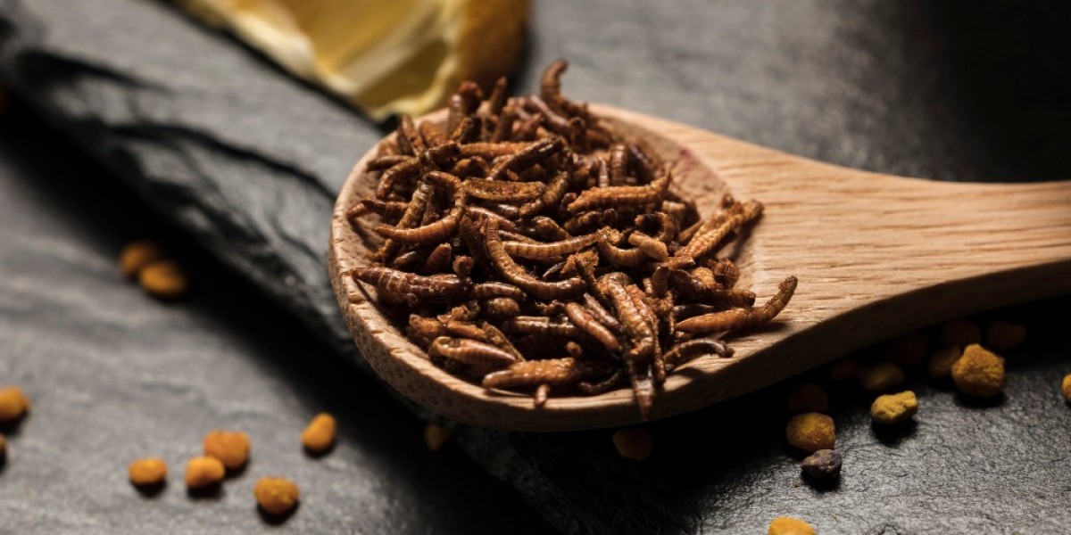 Global Insect Protein Market: Sustainable Nutrition for a Growing World