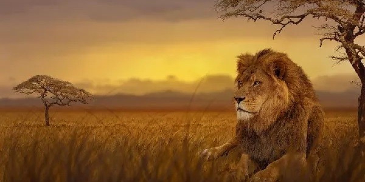 All About Lion Symbolism and Meaning