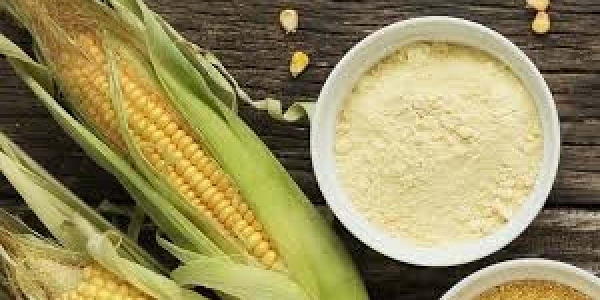 Corn Flour Market players diversify portfolios to capture niche health segments