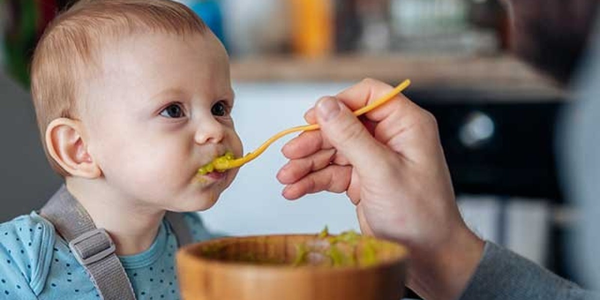 Baby Food Market Intelligence: Strategic Insights Driving Innovation and Global Expansion