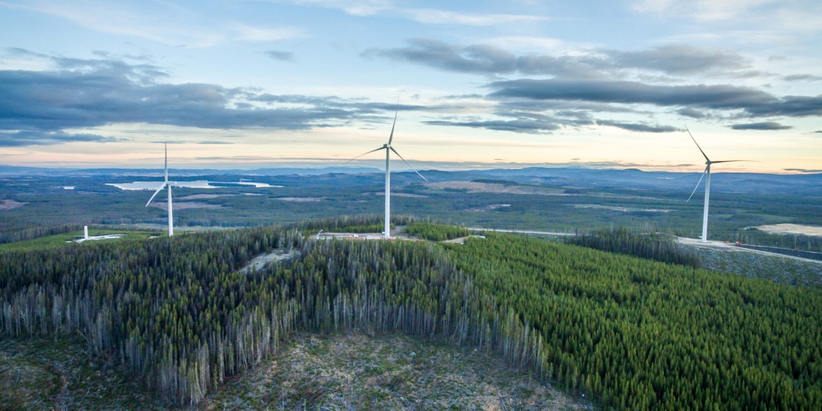 Canada Wind Power Market: Growth, Trends, and Future Outlook