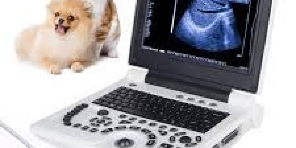 Veterinary Ultrasound Scanner Market in Europe