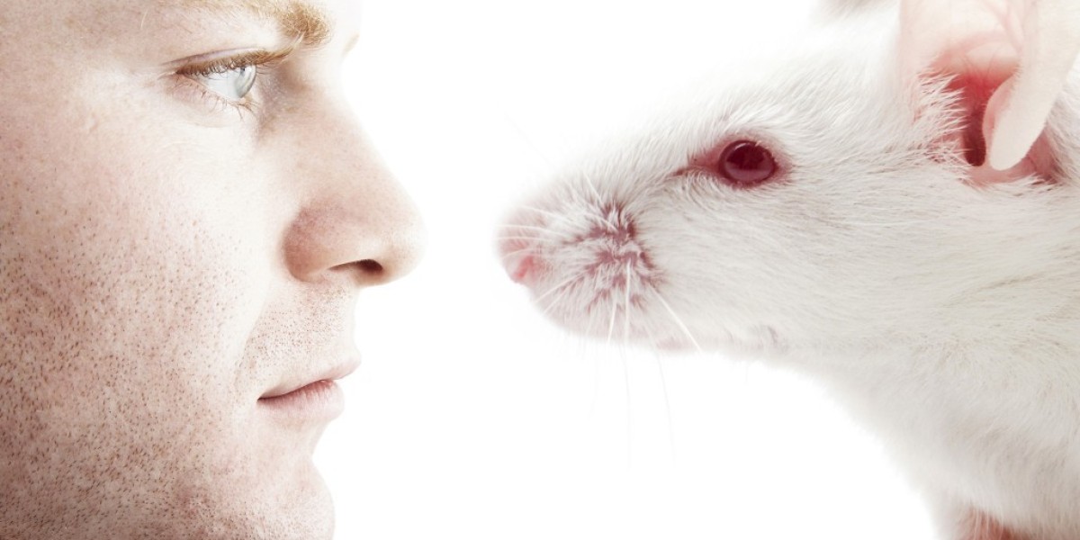 Humanized Mouse Model Market Size, Trends, and Growth Strategies Analysis 2025-2032