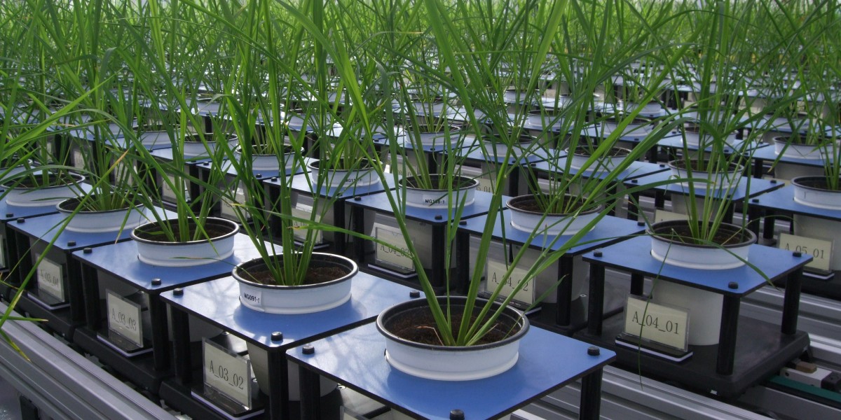 Plant Phenotyping Market Size, Business Growth and Driver by 2035
