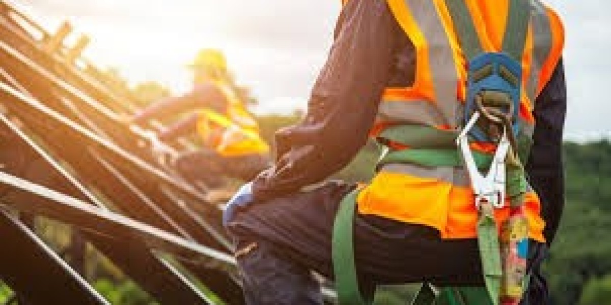 Product Fall Protection Systems Market Dynamics Shaping Global Industry Expansion