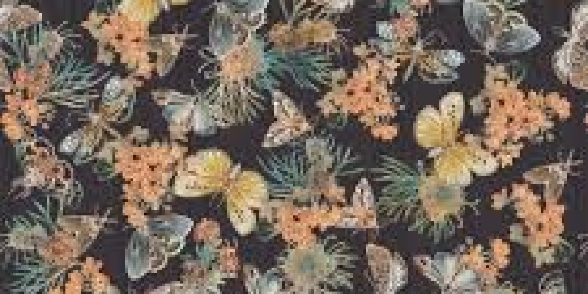 Wallpapering Costs in Australia: What You Need to Know