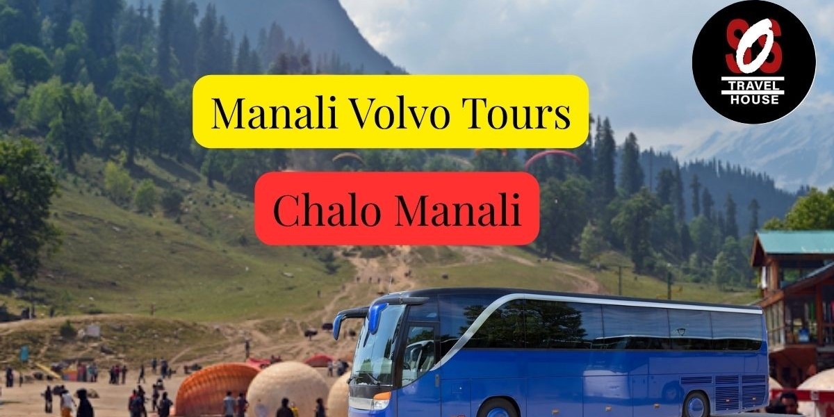 Are You Excited? Himalayan Views on a Delhi Volvo Trip