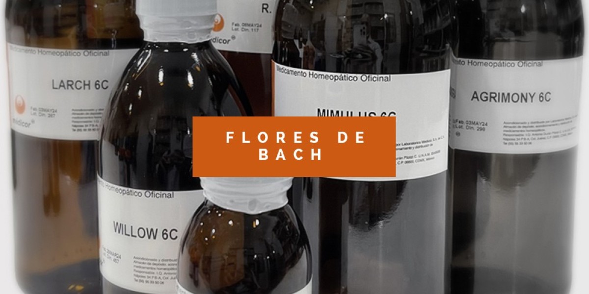 Flores de Bach: Equilibrio Emocional a Través de la Naturaleza
