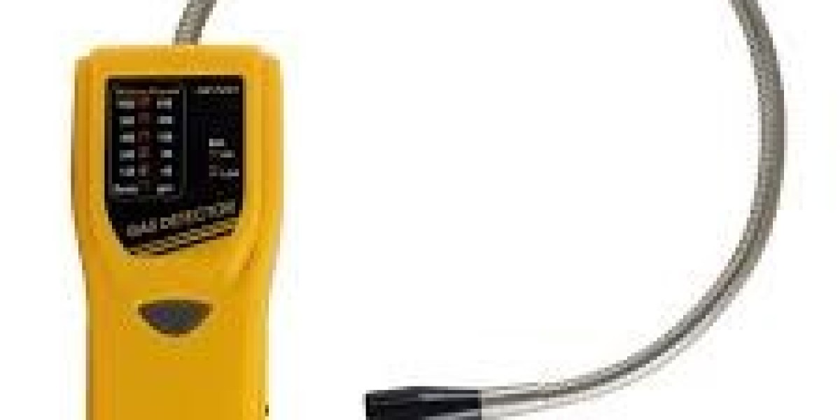 Gas Leak Detector Market Dynamics: Exploring Demand Shifts and Innovation Drivers