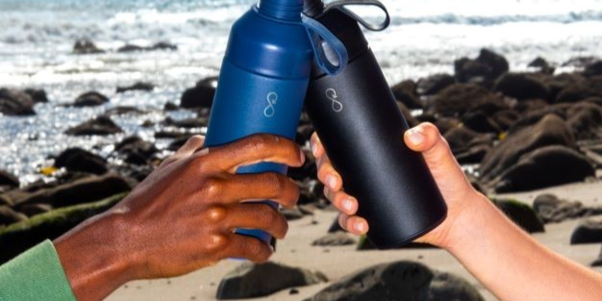 Global Reusable Water Bottle Market Size, Trends, and Growth Forecast 2025-2032