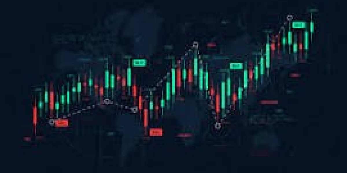 How Nifty 50 Hits New High: Top Gainers & Losers Today