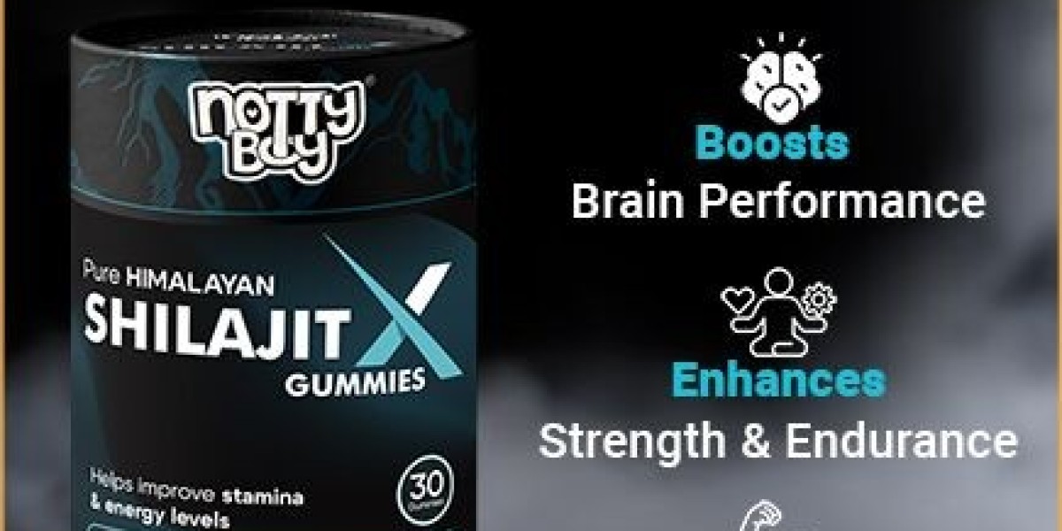 Buy Pure Himalayan Shilajit Gummies Online – NottyBoy