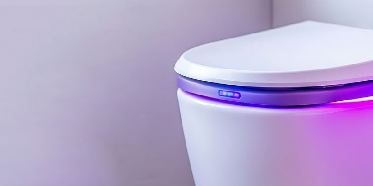 Best Portable Bidet