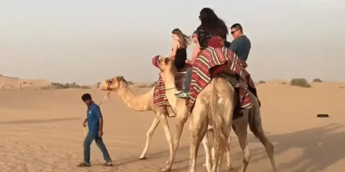 Family-Friendly Dubai Desert Safaris: Affordable Packages for All Ages