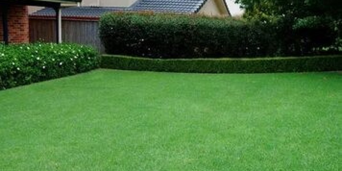 Why Artificial Grass Abu Dhabi Is the Future of Eco-Friendly Landscaping