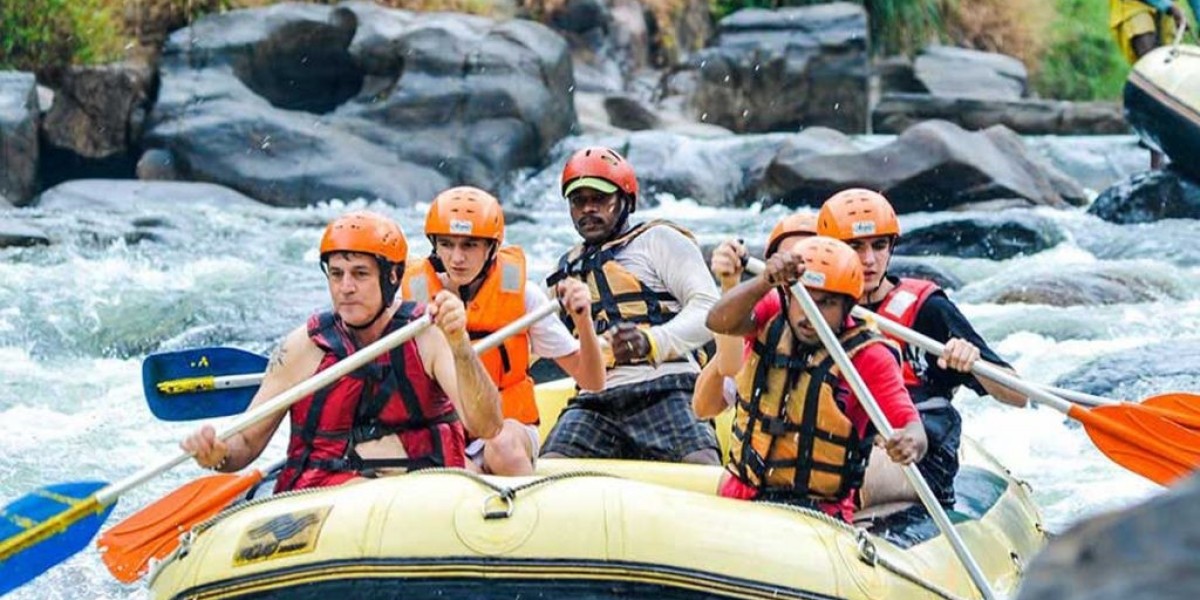 Embark on an Unforgettable Journey: Your Guide to Adventure Tours in Sri Lanka