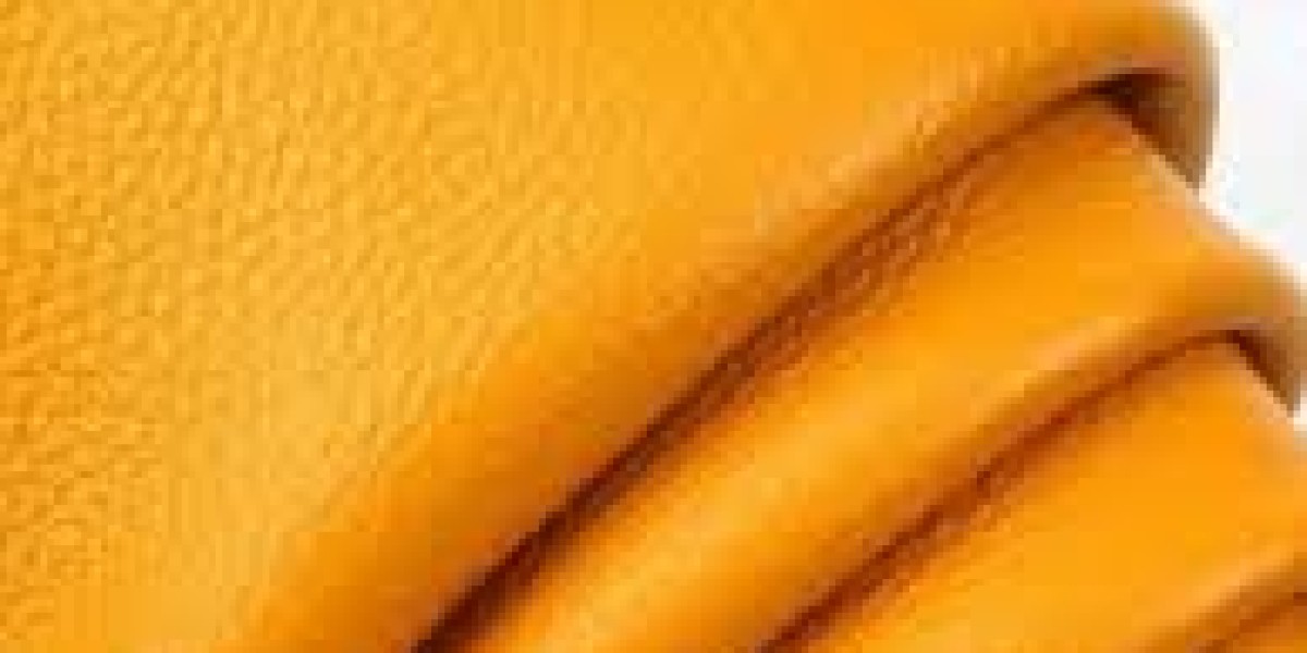 Bio Based Leather Market consumer preferences boosting demand for cruelty free products