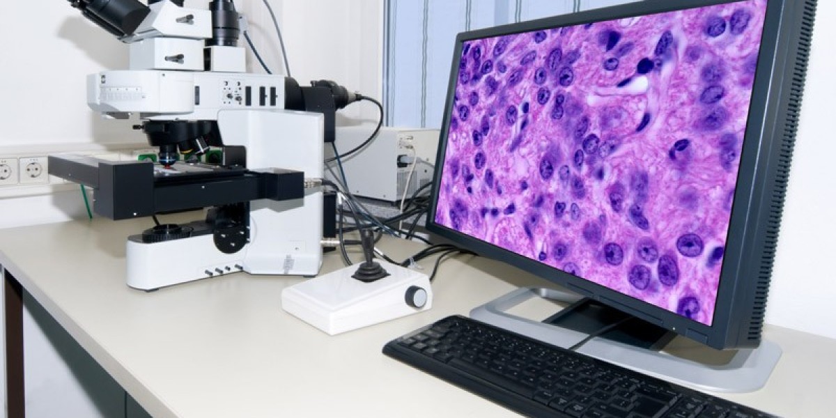Digital Pathology Market Research-Based Outlook & Industry Insights 2025–2033