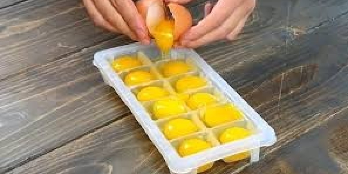 Frozen Eggs Market Regulatory Trends Influencing Global Trade and Demand