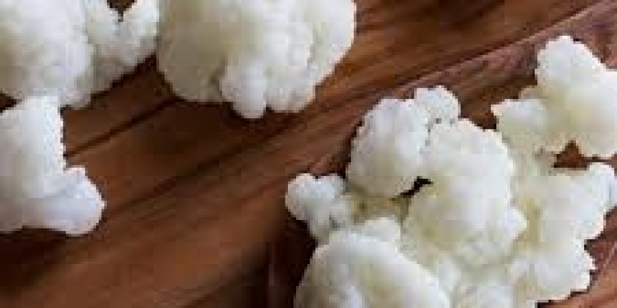 Kefir Market regional outlook highlighting top growth territories and challenges