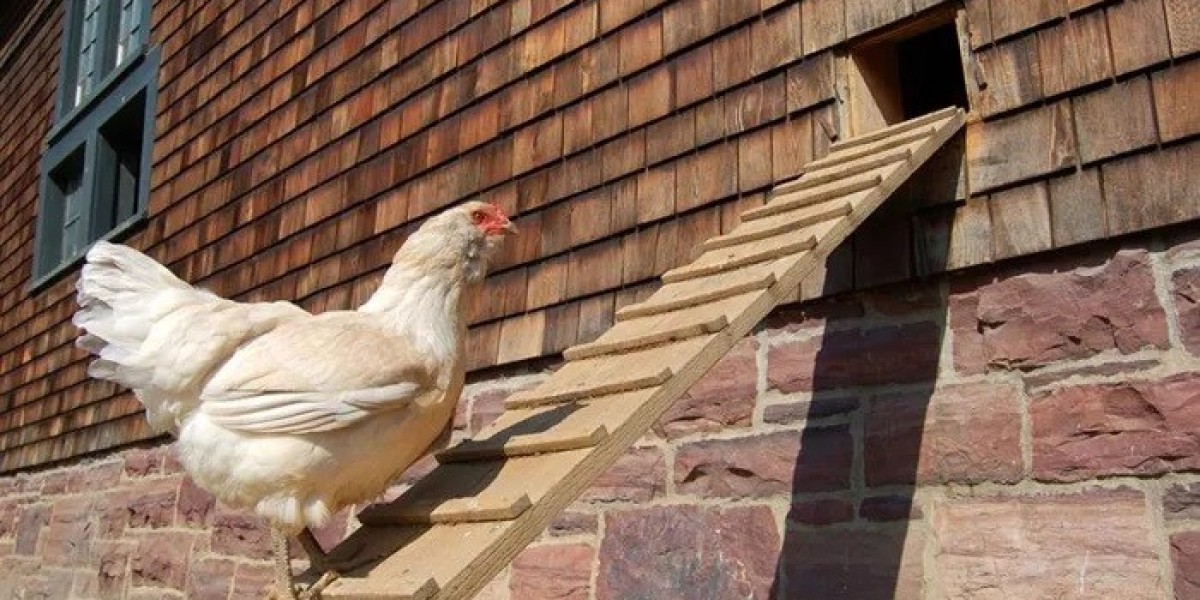 101+ Chicken Knock Knock Jokes So Funny They’ll Make You Cluck