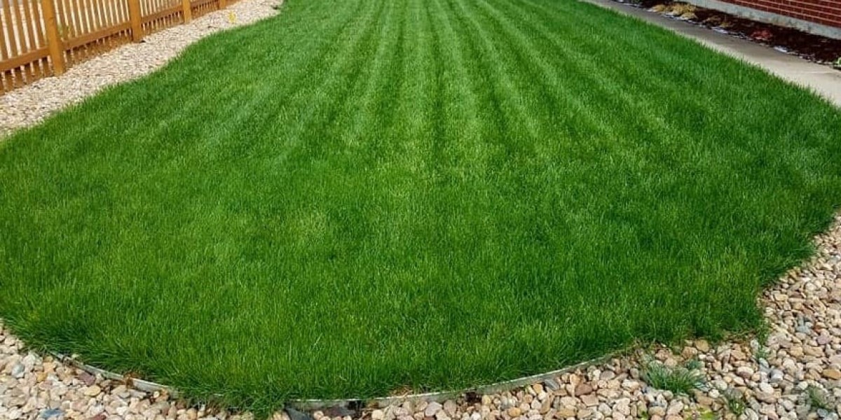 Achieving a Perfect Lawn with Ready-made Lawn Services in Rome