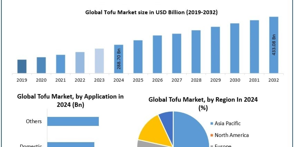 Are New Product Innovations Driving Consumer Interest in Tofu?